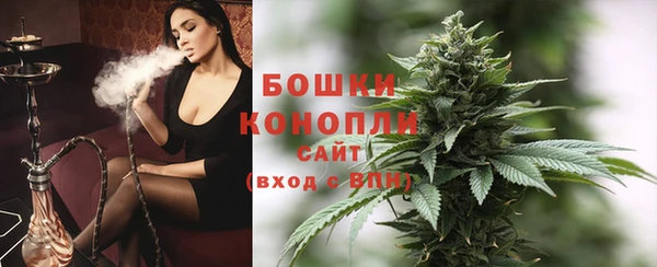 винт Аркадак