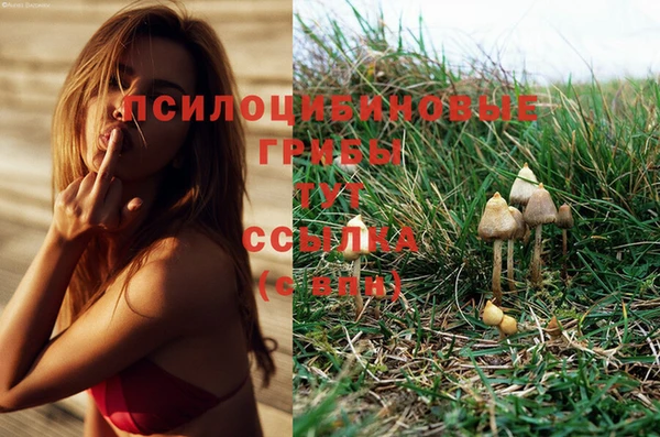 MDMA Premium VHQ Арсеньев